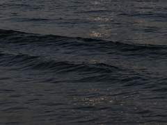 샴페인 슈퍼노바*