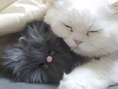 BONUS 휴지통 - 매일의 조각