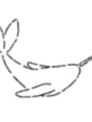 고래 이야기 (단편 시리즈)