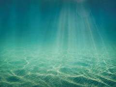 목소리를 흘린 비눗방울