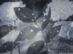 All fortune is to be conquered by bearing it.