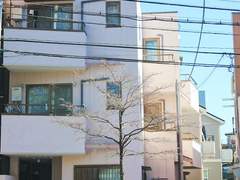 [마후에나] 한 집에 살면 안되는 사이