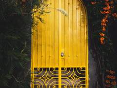 나에게 체리 한 그릇만 주어진다면,