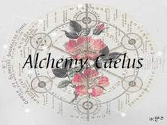 Alchemy :: 알케미 73