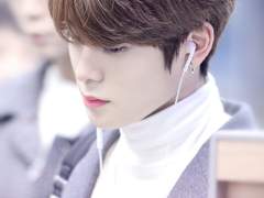 개냥아치 가이드 17