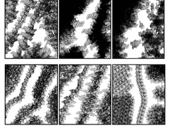 더럽힘 카케선 세트