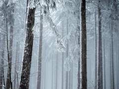 사람을 옳은 길로 돌아오게 한 자는