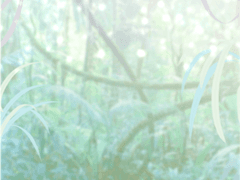 유나비 / XX / 23세 / 센티넬