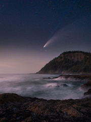 몇 번이고 다시 태어나