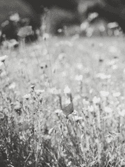 미의 심연 속 에서 