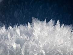 여행을 좋아하던