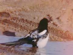 개웃기다 앜ㅋㅋㅋㅋㅋㅋㅋ