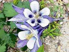 아들 쌍둥이가 태어났다고 한다