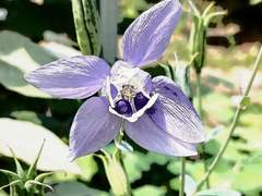 딸이 태어났다고 한다