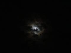 우리는 그 아이를 만나러 간다. (1)