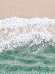 우리는 모두 바다의 품으로 돌아갈 것입니다.