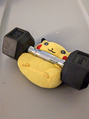 로보토미 + 라오루