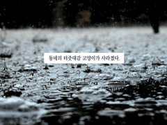폭우
