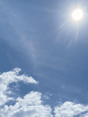 고르기 아닌 고르기