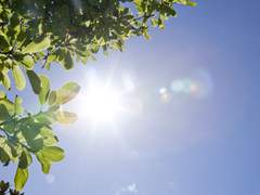 데미갓 여주와 공공즈 SSUL