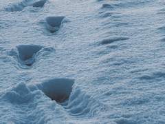 忘れられない約束