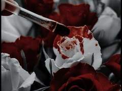 아름드리 나무 아래