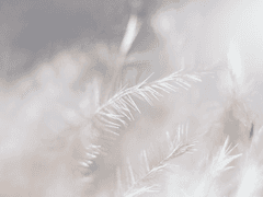 [진슙] 백호산 이야기 -1