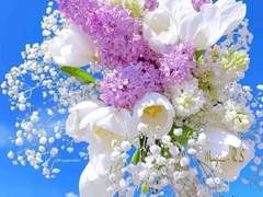 화 랑 고백로그