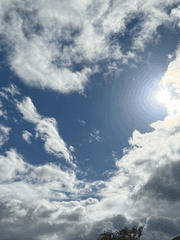 우연히 보게된 영문 소설 속으로 들어가 버렸다.