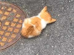 다시 태어난다면? 01