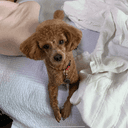 연두부가을노을