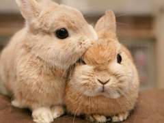 지인들과 함께 적는 TMI