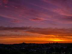 [레오츠카] Call of the void - 5화