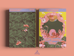 Small Twinkling Things - 작고 반짝이는 것들