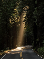 작품 소개 모음