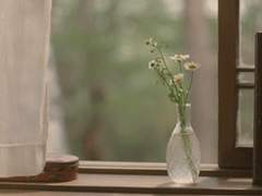 [주간] 무의 상념