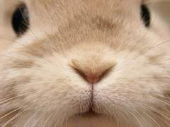 다들 새해 복 많이 받으세요~