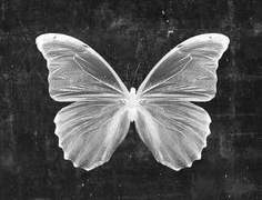 When we are here, Slytherin. 05