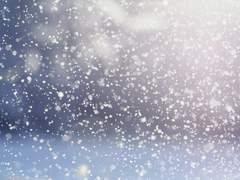 깊은 숲속 료칸 이야기