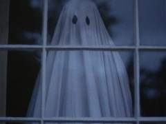 제가 불을 낸 게 아니에요