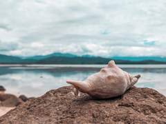 도련님이 사춘기라니