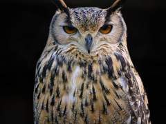 뒤바뀐 시작점(3)