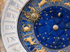 ✨️로젤리아 파딜라 오브리