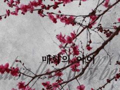 다시 이룩할 낙원을 향해