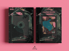 canine teeth - 송곳니