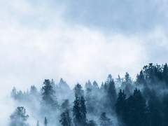 딜런 아레스로부터 딜런 아레스에게