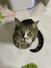 대학원 졸업 종합시험을 27일만에 준비할 수 있을까?