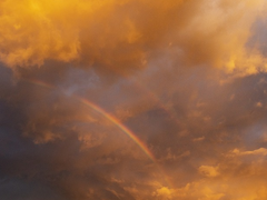 [죠죠]뒤집힌 이야기(6부 개변)