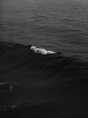 파멸과 구원 사이에서