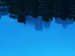 행방불명의 블루